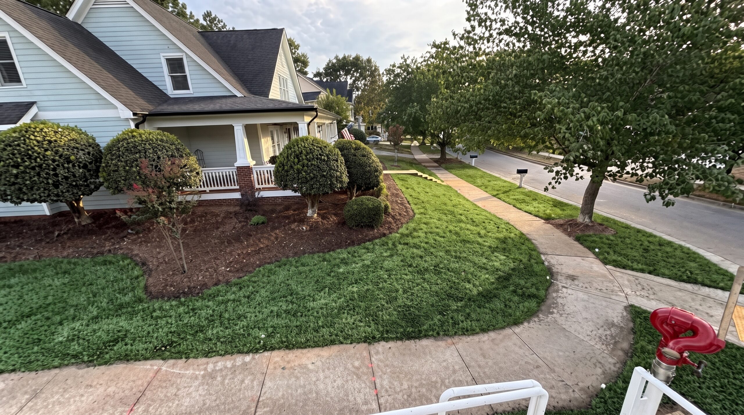 Established lawn after hydroseeding in Colonial Heights, Virginia