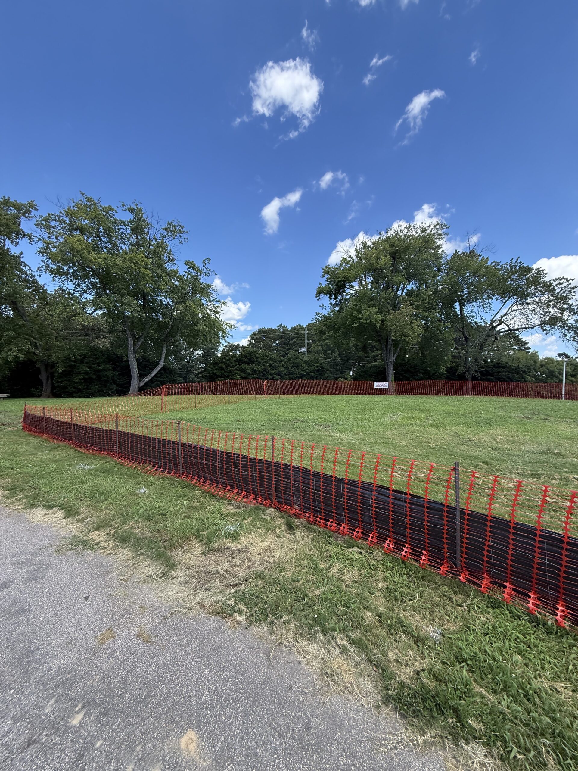 First growth after hydroseeding in Petersburg