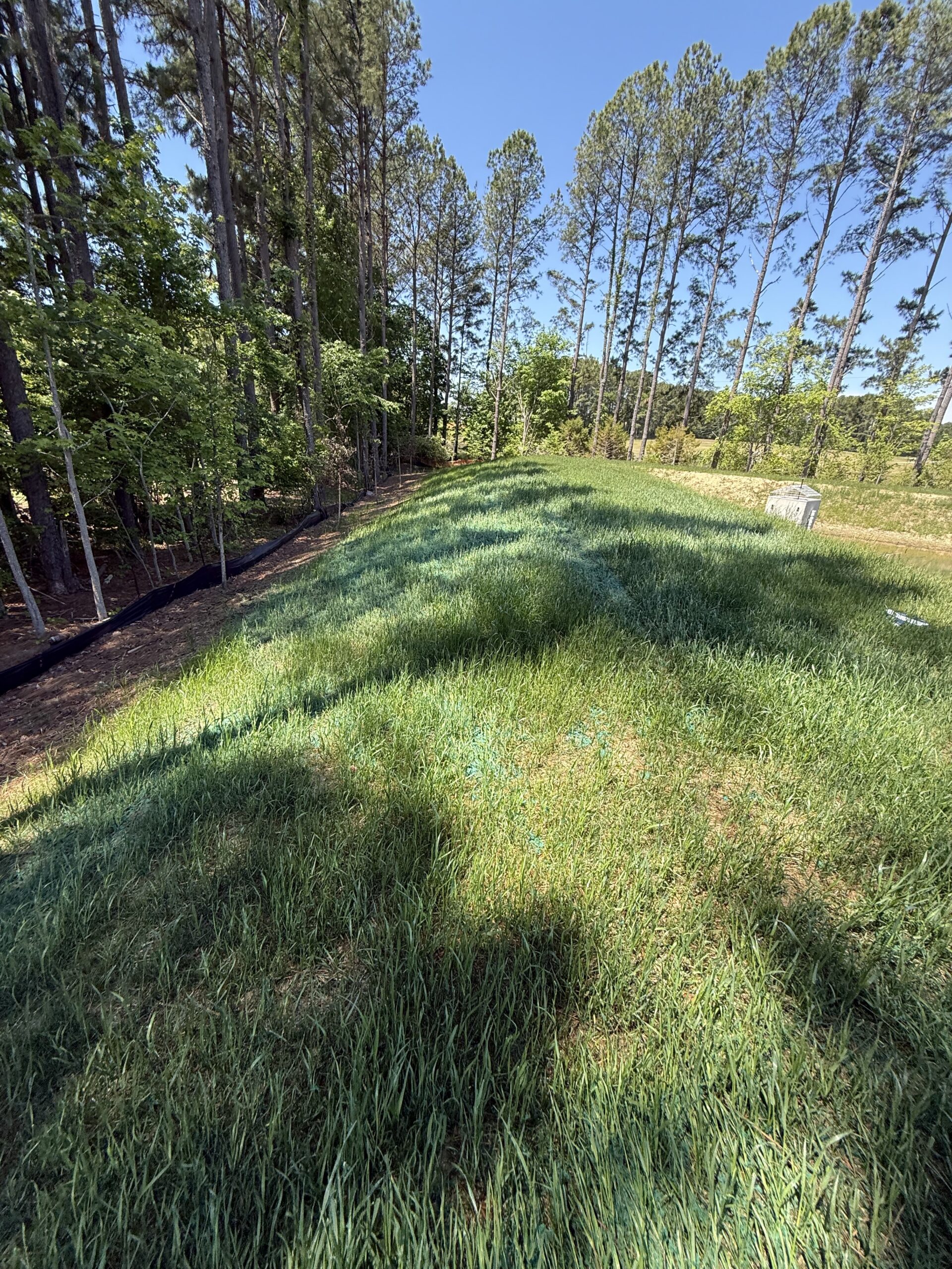 Slope stabilisation in Hopewell