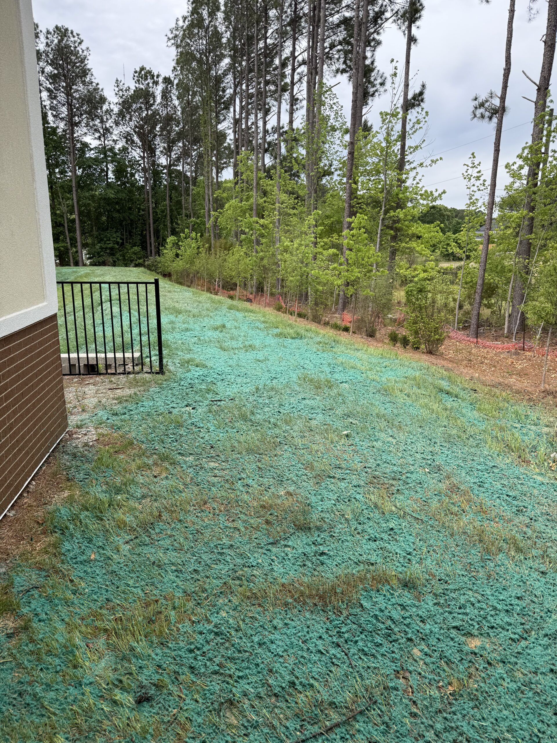 Hydroseeding a graded lot in Petersburg, Virginia